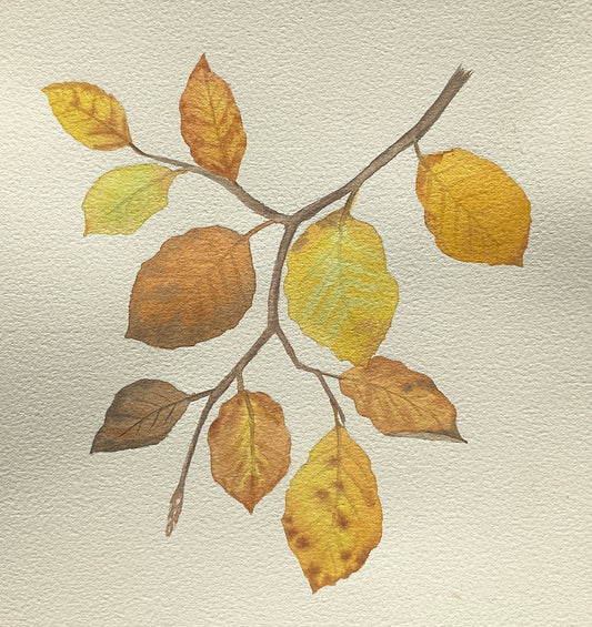 Taller: Pintando hojas de otoño