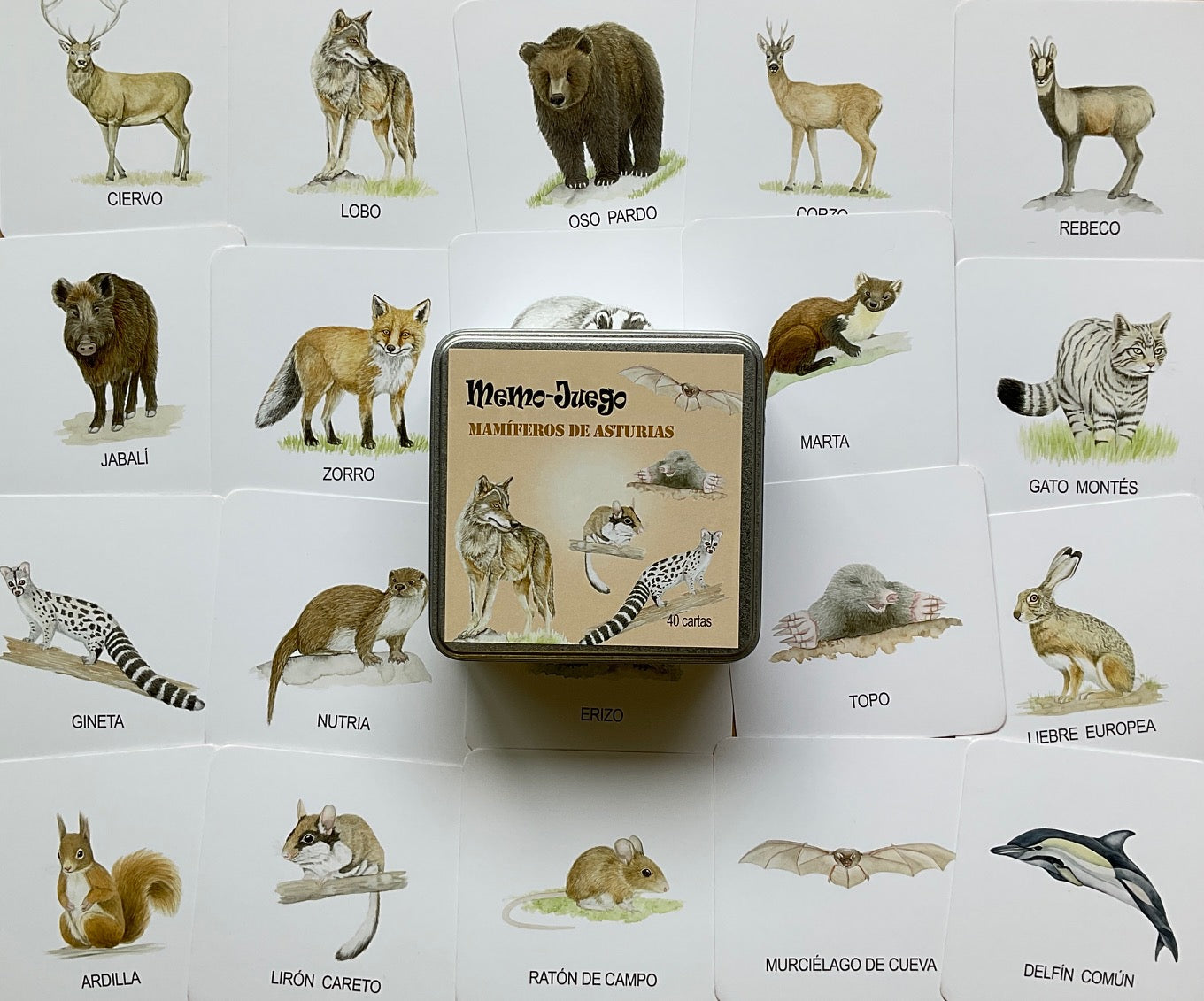 Juego de memoria "Mamíferos de Asturias"