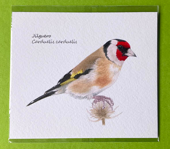 Mini-lámina jilguero