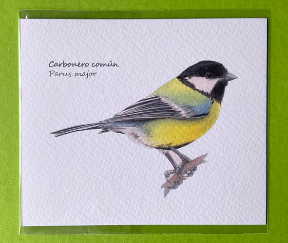 Mini-lámina carbonero