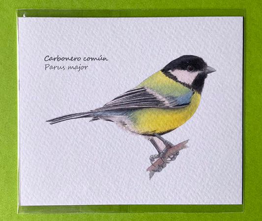 Mini-lámina carbonero