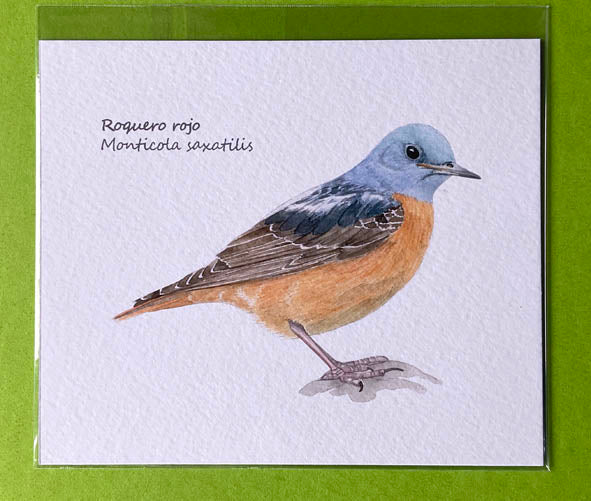 Mini-lámina roquero rojo