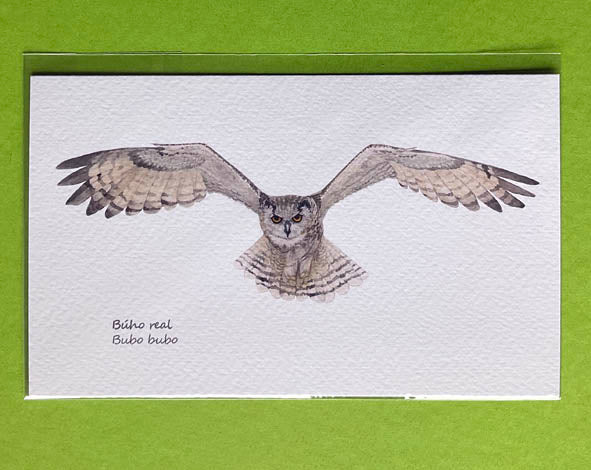 Mini-lámina búho real