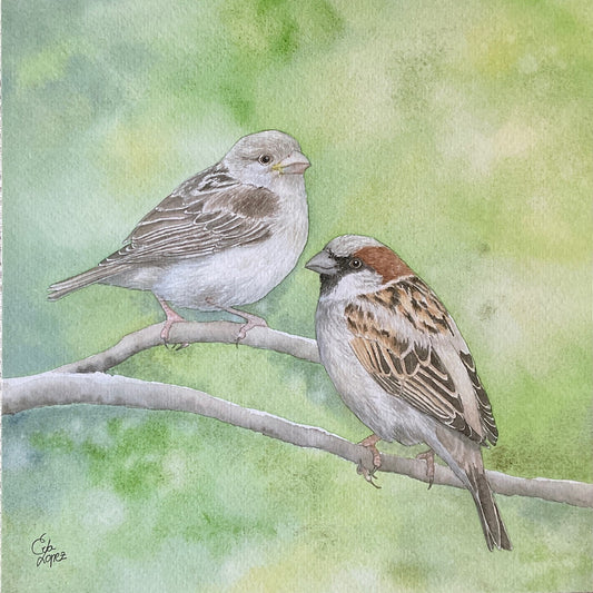 Lámina de gorriones